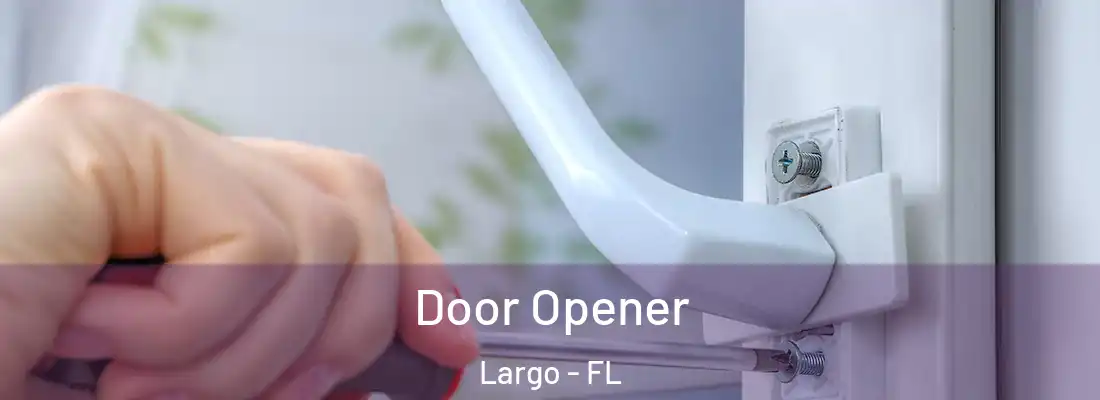 Door Opener Largo - FL