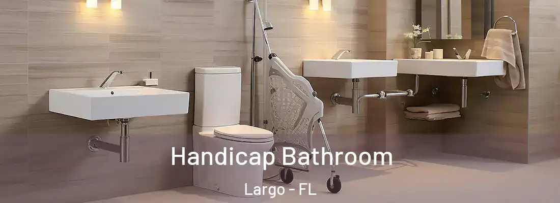  Handicap Bathroom Largo - FL