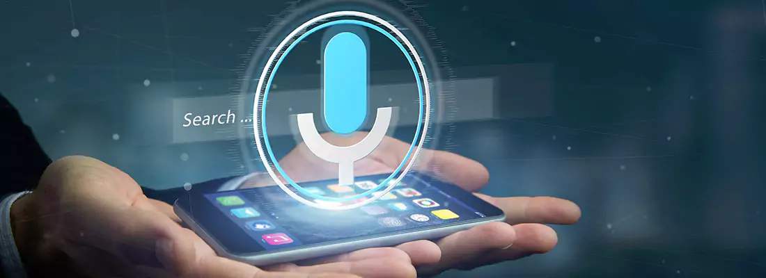 Enhance Security with Voice Recognition Access Systems in Largo, FL