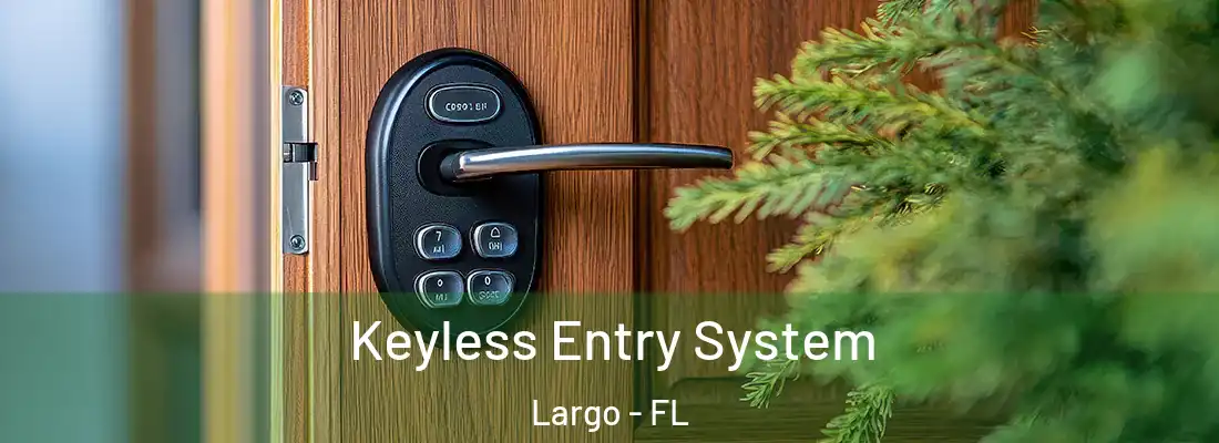 Keyless Entry System Largo - FL