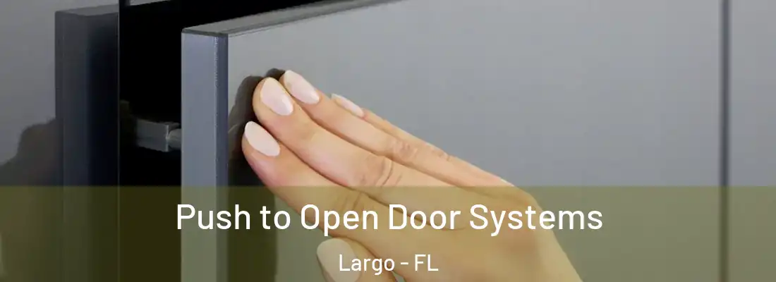 Push to Open Door Systems Largo - FL